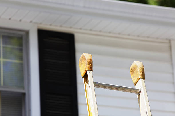 Best Steel Siding Installation  in Loudon, TN